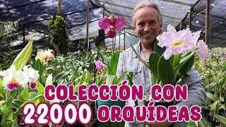 Estás orquídeas son únicas en el mundo COLECCIÓN DE ORQUÍDEAS PREMIADAS │Candy Bu [upl. by Alywt]