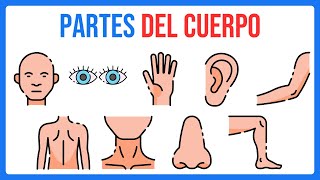 Partes Del Cuerpo en Inglés Con Pronunciación [upl. by Yraeg796]