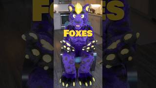 Reviewing Fursona Species Day 2930 Foxes 🦊 furries fursuit fursona [upl. by Ahsyekal]