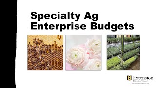 Specialty Crop Budgets [upl. by Adekahs666]