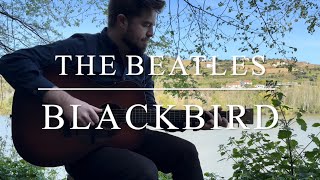 Blackbird  The Beatles acoustic cover [upl. by Allenotna]