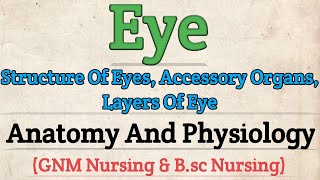 Eye Anatomy and Physiology  Anatomy And Physiology For Nursing Students [upl. by Wolcott]