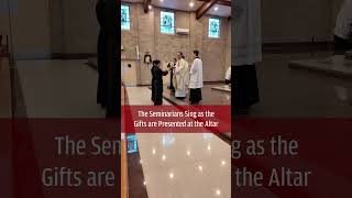 The Seminarians Sing as the Gifts are Presented at the Altar [upl. by Cristine]