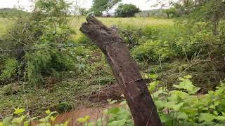 ⛈️TREMENDOS aguaserasos en sonamedia río verdeslp [upl. by Gaynor1]