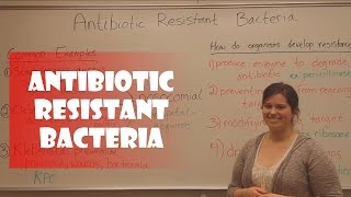 Antibiotic Resistant Bacteria [upl. by Scotty]