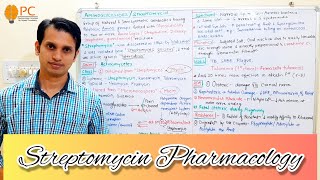 Aminoglycosides Pharmacology  Pharmacology of Streptomycin  Mechanism of Action of Aminoglycosides [upl. by Doralynn629]