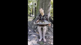 🍁 quotOtoñoquot  Handpan Improvisation  CAORANN F Low Pygmy 17 🍁 [upl. by Wilburn765]