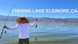 FISHING LAKE ELSINORE CA [upl. by Logan]