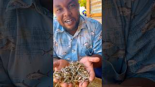 Vimalawari mombasa dried fish mombasafish fish catches food fishing seafood catche [upl. by Allcot]