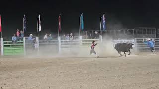 Cunnamulla Fella Roundup 2024  Cameron Southern the 2023 Southern Bull riding champion [upl. by Auqinehs199]