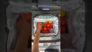 Will our famers market haul fit in our Titan Cooler 👨‍🌾 Lets find out titanbyarcticzone cooler [upl. by Geibel]