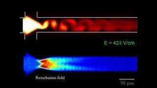 Electrokinetic Instability in a Cross Shaped Microchannel [upl. by Ploch]