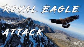 My first fixed wing FPV flight in the mountains turns to chaos  Royal Eagle attack [upl. by Karmen]