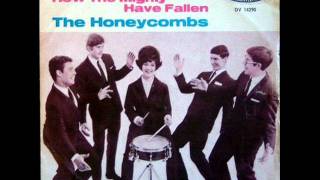 THE HONEYCOMBS UK COLOR SLIDE US Interphon 7716 1965 [upl. by Ahtenek]