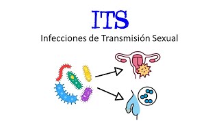 🦠 ¿Qué son las Infecciones de Transmisión Sexual ITS 🩸 Ejemplos 👫 Fácil y Rápido  BIOLOGÍA [upl. by Ayhtin861]