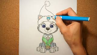 AniaKoloruje Dla Maluchów  How to color PAW PATROL  CHRISTAMAS  Jak pokolorować PSI PATROL [upl. by Adnovaj]