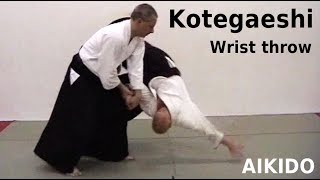 Aikido technique KOTEGAESHI wrist throw by Stefan Stenudd in 2004 [upl. by Cherry]