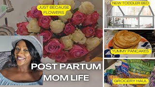 Vlog New montessori toddler bed  Yummy pancakes  Shopping Grocery haul  Feeding a Picky eater [upl. by Eibber323]