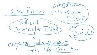 PLANT PHYSIOLOGY – PLANT GROWTH HORMONES – CYTOKININS DISCOVERY [upl. by Yrrat]