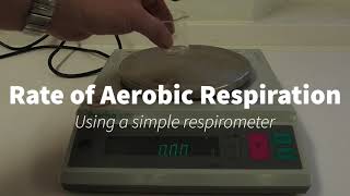 Simple Respirometer IGCSEA Level Biology [upl. by Annora472]