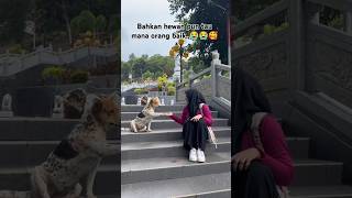 momenharu di tempat wisata‼️‼️wisata perjalanan momenharu viraltiktok inginmemelukdirimu [upl. by Onurb]