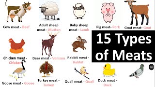 Types of Meat List of Meats With Their Name and Picture [upl. by Pascasia]