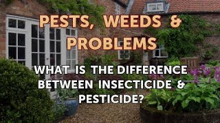 What Is the Difference Between Insecticide amp Pesticide [upl. by Saunder663]