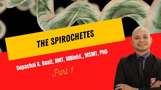 The Spirochetes [upl. by Ecyrb]