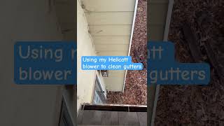 Using my Hellcat blower to clean gutters in Hampton GA [upl. by Kieryt972]