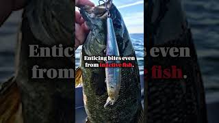 Pointer 128SP  The Winning Lure You Need for More Catches【04 05 06 07 09 10 11】 [upl. by Syverson]