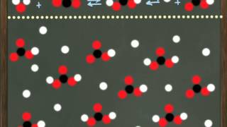 Chemistry ReviewCarbonate Bicarbonate Buffer System [upl. by Yenettirb]