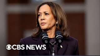 Democrats play blame game after Kamala Harris defeat [upl. by Llertram]