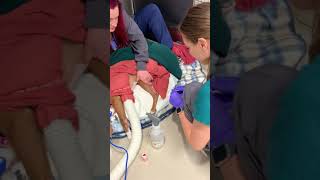 Canine lateral saphenous venipuncture [upl. by Woodhouse]