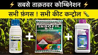 Best powerful fungicide and insecticide combination  trassid insecticide  Mancozeb 75  amistar [upl. by Marlowe]