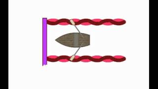 Actin and Myosin Action [upl. by Seyer]