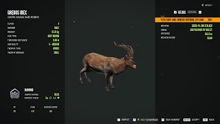 Gredos Ibex  5Diamond  theHunter Call of the Wild 2024 01 30 [upl. by Nonnelg766]