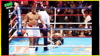 Riddick Bowe 7 Brutal Punches For 7 Million Dollars [upl. by Attenreb]