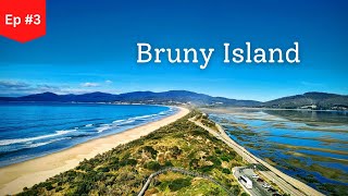 A day in Bruny Island  Tasmania  Shalvin Diaries [upl. by Nageem]