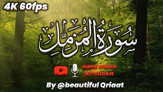 Surah Muzammil  Heart Touching Recitation  Hafiz IMRAN ARSHAD  2025 [upl. by Katrinka151]