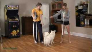 Basic Hula Hooping Tutorial  Fun with Hula Hoop Tricks [upl. by Eehtomit]