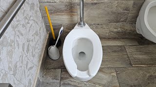 TR 61 Why Does The 35 Gallon American Standard Madera Toilet Feel Lackluster [upl. by Husein]