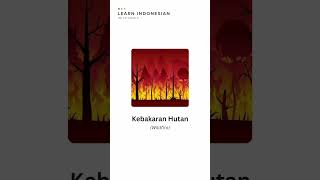 Indonesian Vocabulary  Natural Disaster Bencana Alam LearnIndonesian [upl. by Adiesirb]