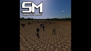 Pasture anywhere mod review  FS22 [upl. by Yadseut]