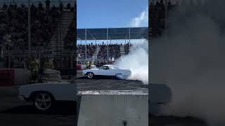 The best burnout show in the world [upl. by Nyliuqcaj]