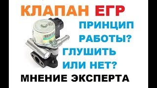 Клапан ЕГР Принцип работы Глушить или нет [upl. by Lauber427]