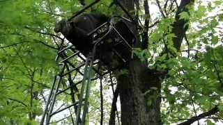 Set Up a Ladder Stand Safely for Deer Hunting [upl. by Botzow]