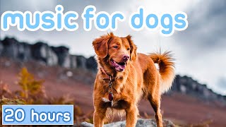 NO ADS Dog Music Hours of Separation Anxiety Music to Calm Dogs [upl. by Dirraj]