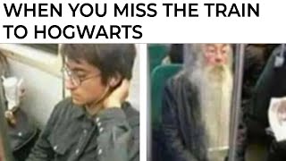 Harry Potter Memes [upl. by Hessler]