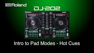 Roland DJ202  Intro to Pad Modes  Hot Cues [upl. by Eynaffit374]