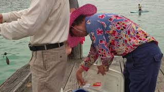 Fishing in Akaroa [upl. by Ingham552]